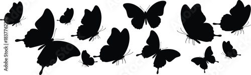 Butterfly silhouettes, wing shapes variety, insect illustration, black design, flying motion, nature symbol, entomology art, decorative insect collection