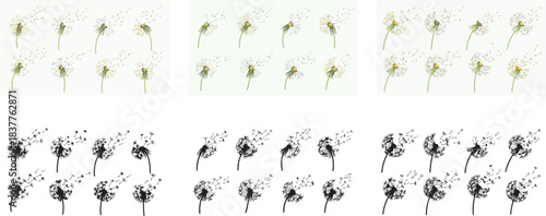 Dandelion seeds blowing in the wind with transparent background