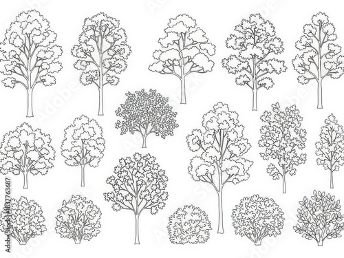 Set of trees and bushes black line isolated on white vector illustration