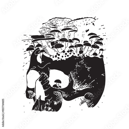 Vector illustration art drawing of a lion and a pirate skull and crossbones design