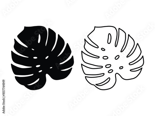 Hand-Drawn Monstera Leaf Illustrations Botanical Doodle Pack