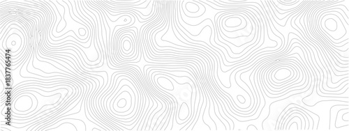 Abstract Landscape Grid Topography Seamless Design