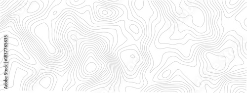 Modern Cartographic Topography Line Background