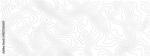 Geometric Line Topography Seamless White Design