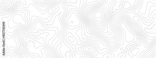Minimal Abstract Topography Line Map Texture