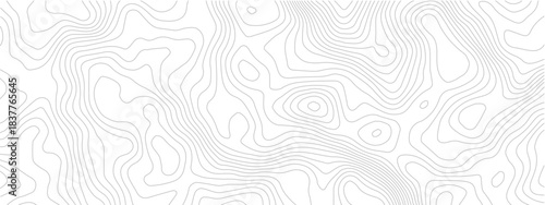 Abstract Contour Grid Topography Modern Background