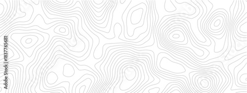Modern White Topographic Line Map Seamless Pattern