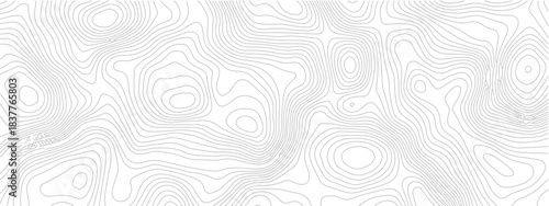 Abstract Geometric Topography Lines Seamless Map Texture