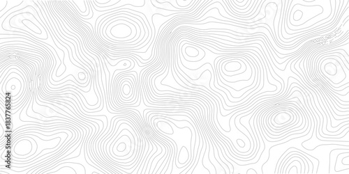 Abstract Line Topography Seamless Pattern Modern Map Design