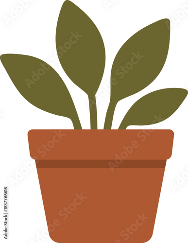Terracotta potted houseplant