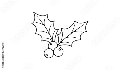 Simple hand drawn outline of holly leaves and berries for christmas