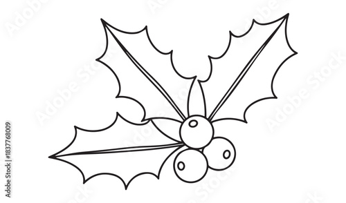 Simple outline drawing of holly leaves and berries