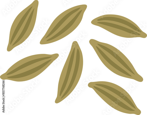 Fennel seeds scattered