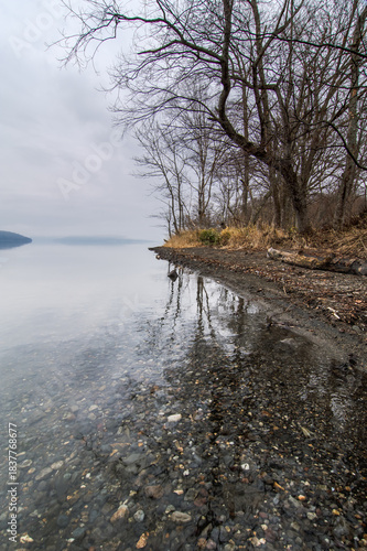 Wallpaper Mural 冬の湖のさびれた印象の岸辺の風景。木々を映す透明な水の湖底。 Torontodigital.ca