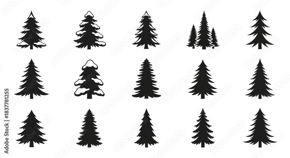 Fototapeta premium A collection of fifteen stylized black silhouette illustrations of evergreen coniferous trees, including pine and fir varieties, presented in a grid layout against a white background.