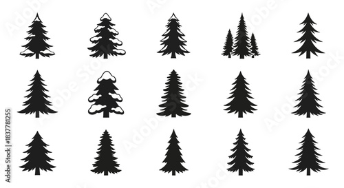 A collection of fifteen stylized black silhouette illustrations of evergreen coniferous trees, including pine and fir varieties, presented in a grid layout against a white background.