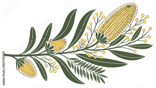 Australian Native Banksia Plant with Flowers and Leaves, Botanical Illustration, A botanical illustration of an Australian native Banksia plant, showing its flower spikes and leaves.
