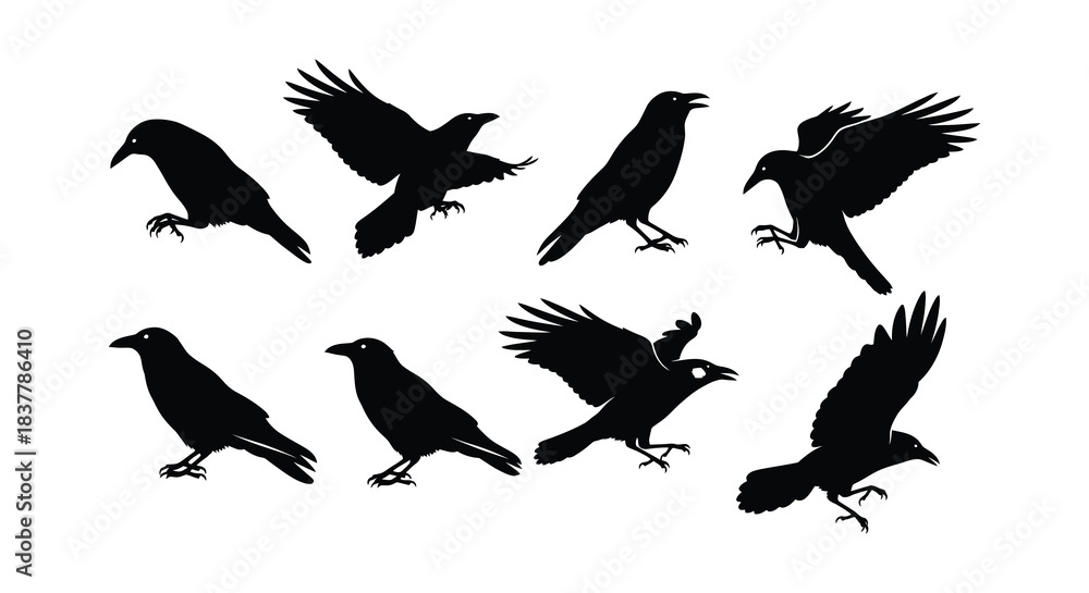Fototapeta premium Silhouettes of crows in various poses depicting flight and perching behavior
