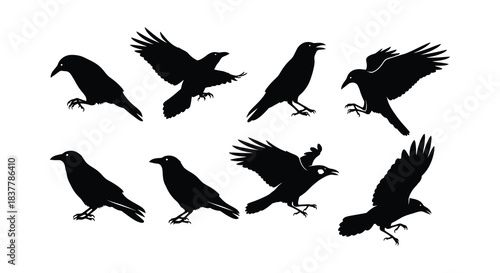Silhouettes of crows in various poses depicting flight and perching behavior