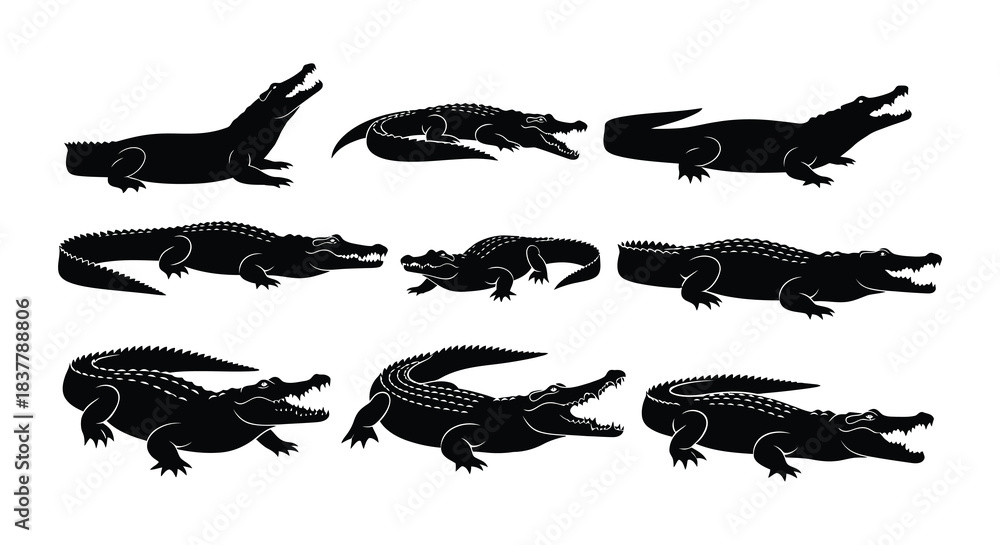 Obraz premium Black silhouette illustrations depicting multiple crocodiles in various poses and angles