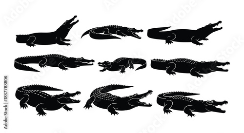 Black silhouette illustrations depicting multiple crocodiles in various poses and angles