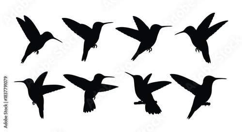 A collection of hummingbird silhouettes in various flight poses and angles