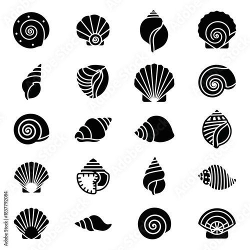 Elegant seashell collection perfect for coastal designs, summer promotions, and nautical themes with beach vibes, showcasing diverse marine life forms
