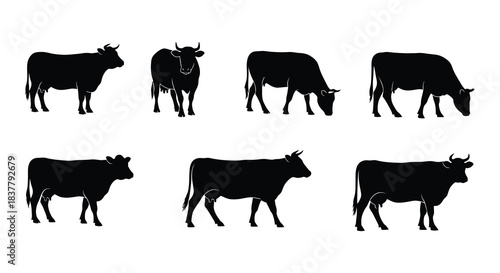 A collection of black silhouettes depicting various poses of cattle and cows