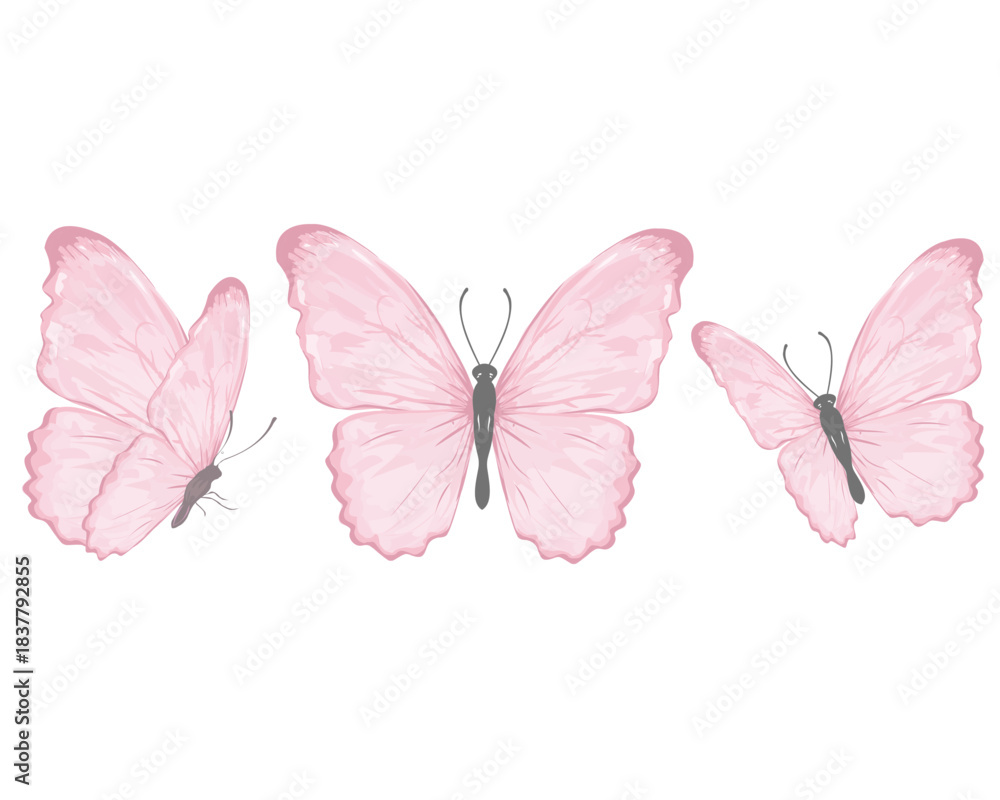 Obraz premium WATERCOLOR hand drawn design vector 