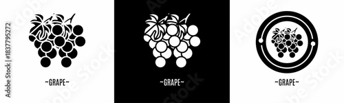Grape logo set. Collection of black and white logos. Stock vector.