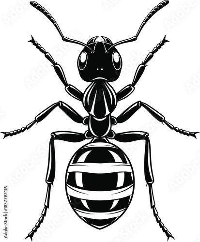 Ant Vector Illustration