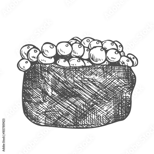 ikura salmon egg roe japan or japanese traditional food doodle hand drawn sketch