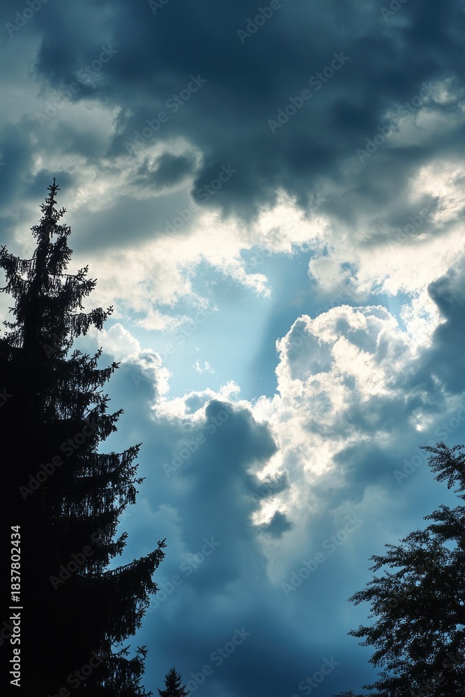 Obraz premium Dramatic sky with sun rays and dark tree silhouettes