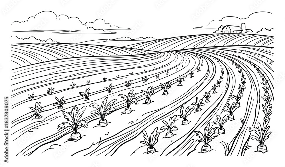 Fototapeta premium Agricultural scenery with planted fields, farmhouse, and barn under a cloudy sky line art