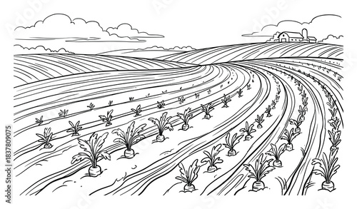 Agricultural scenery with planted fields, farmhouse, and barn under a cloudy sky line art