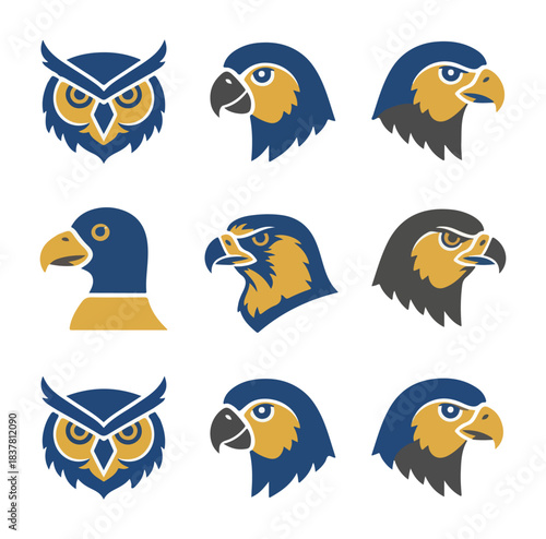 Stylized bird illustrations owl and falcon head portraits