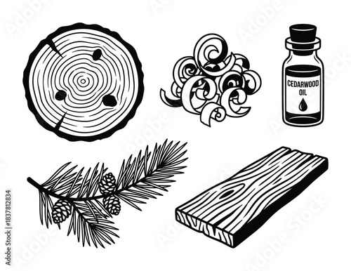 Cedar wood set featuring log, shavings, plank, branch, cones, and essential oil