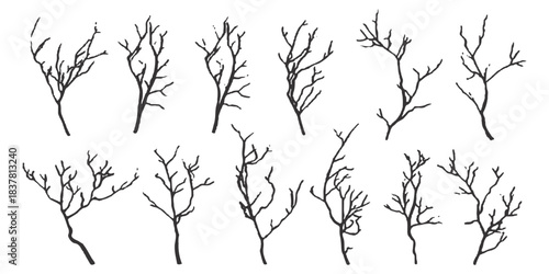 Collection of bare tree branch sketches, natural dry twig elements isolated on white background