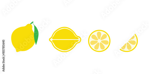 Lemon Citrus Vector Illustration, Isolated Fruit Set Collection