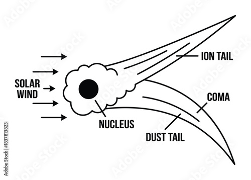 Comet with nucleus, coma, dust tail, and ion tail interacting with solar wind illustration.