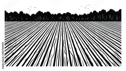 Cultivated field rows stretching to horizon, surrounded by trees under clear sky, black and white vector illustration.