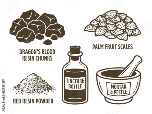 Dragon's blood resin chunks; palm fruit scales; red resin powder; tincture bottle; mortar pestle; herbal preparation.