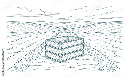 Empty wooden crate. Agricultural field. Rolling hills. Rural landscape. Farm background. Sketch art.
