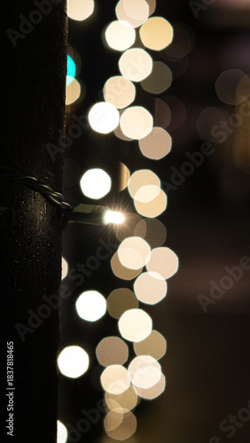 Warm Christmas String Light 2
