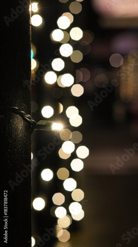 Warm Christmas String Light 1