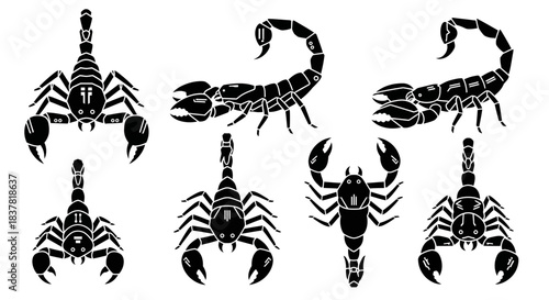 Dynamic scorpion collection showcasing powerful predatory creatures in various striking poses, perfect for bold design projects