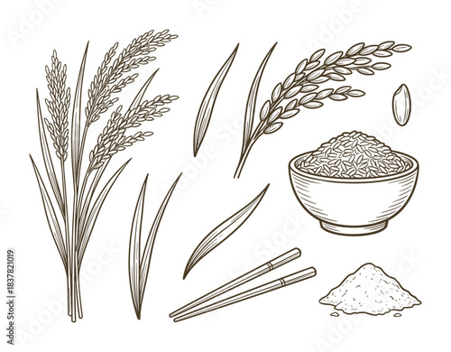 Outline sketch collection of rice plant panicles grains bowl and chopsticks organic food farming agriculture.