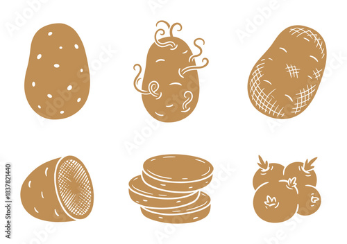 Potato vector set. Whole sprouted cut and sliced potato illustrations. Root vegetable food collection.