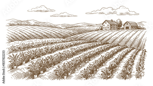 Rural landscape drawing showing a cultivated area with farmhouse and barn under a cloudy sky