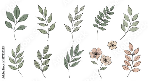 Collection of delicate botanical illustrations featuring various leaves and flowers in muted earthy tones on a white background